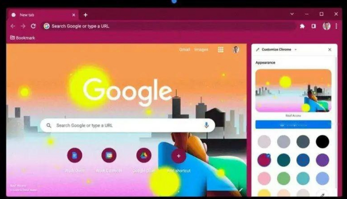Google浏览器设置网页内容自适应功能1