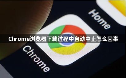 Chrome浏览器下载过程中自动中止怎么回事1