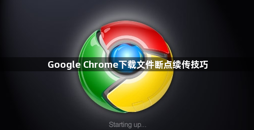 Google Chrome下载文件断点续传技巧1