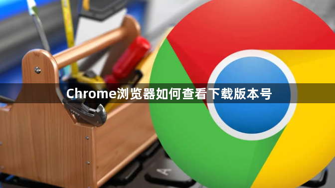Chrome浏览器如何查看下载版本号1