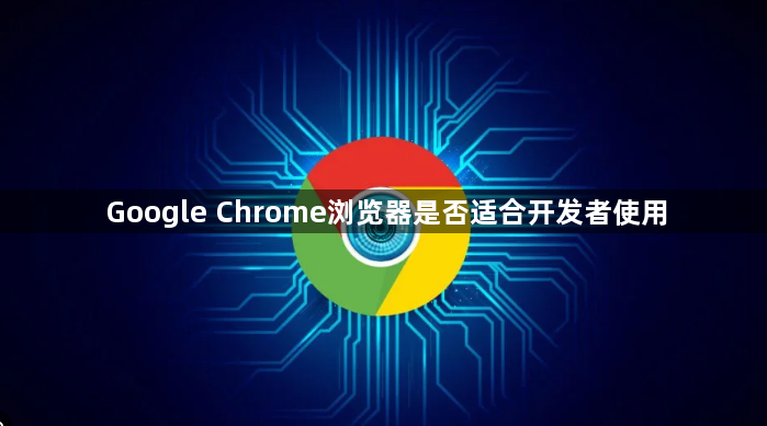 Google Chrome浏览器是否适合开发者使用1