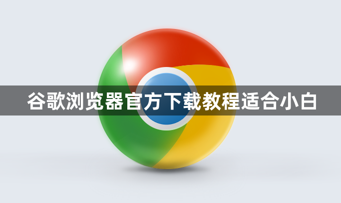 谷歌浏览器官方下载教程适合小白1