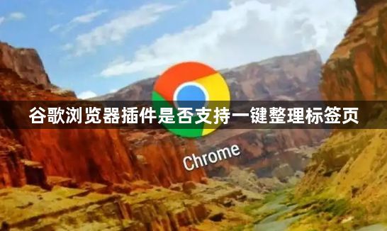 谷歌浏览器插件是否支持一键整理标签页1