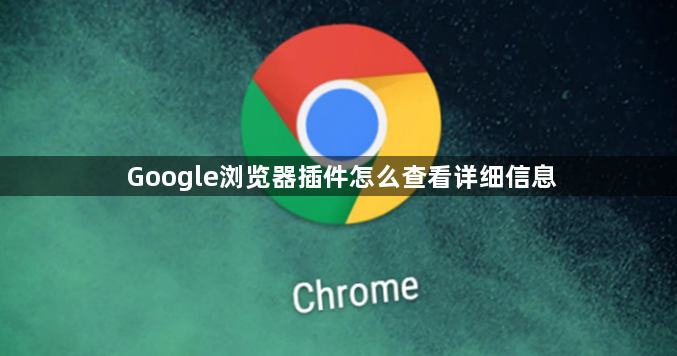 Google浏览器插件怎么查看详细信息1