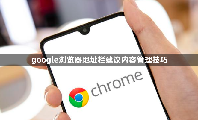 google浏览器地址栏建议内容管理技巧1