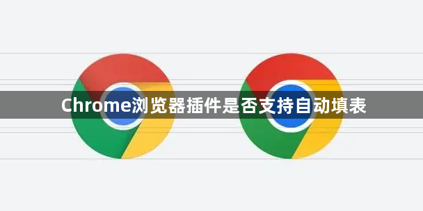 Chrome浏览器插件是否支持自动填表1