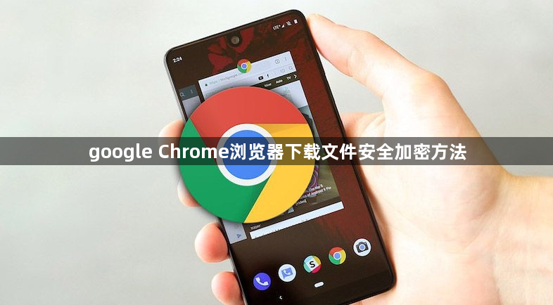 google Chrome浏览器下载文件安全加密方法1