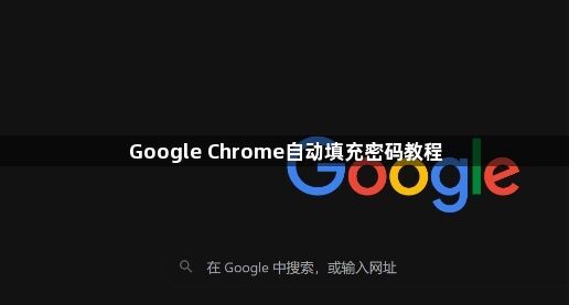 Google Chrome自动填充密码教程1