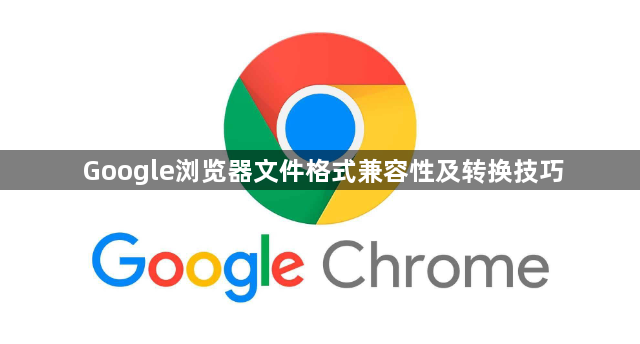 Google浏览器文件格式兼容性及转换技巧1