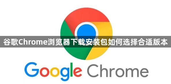 谷歌Chrome浏览器下载安装包如何选择合适版本1