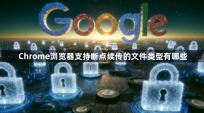 Chrome浏览器支持断点续传的文件类型有哪些1