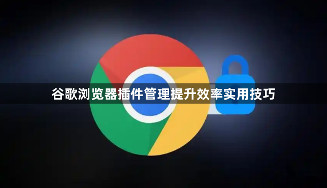 谷歌浏览器插件管理提升效率实用技巧1