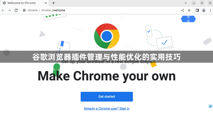 谷歌浏览器插件管理与性能优化的实用技巧1