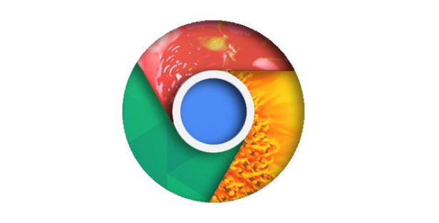 google浏览器下载后如何管理浏览器历史版本和回退