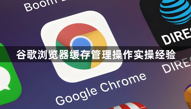 谷歌浏览器缓存管理操作实操经验1