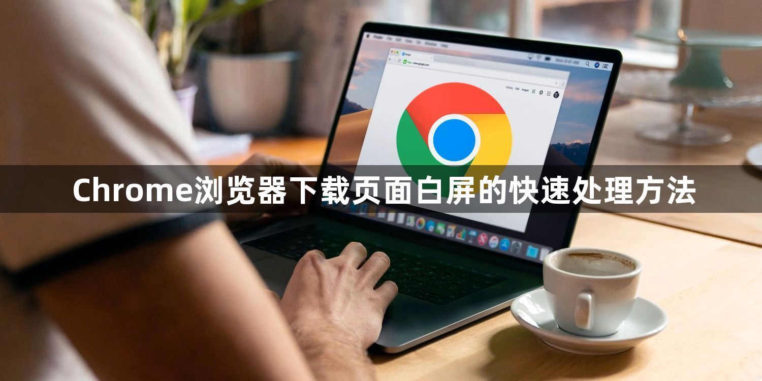 Chrome浏览器下载页面白屏的快速处理方法1