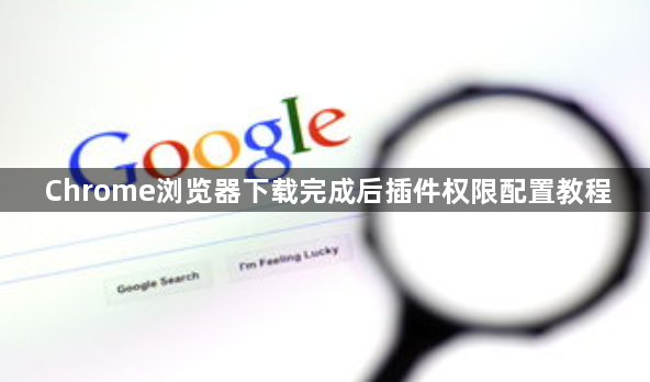 Chrome浏览器下载完成后插件权限配置教程1