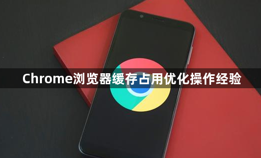 Chrome浏览器缓存占用优化操作经验1