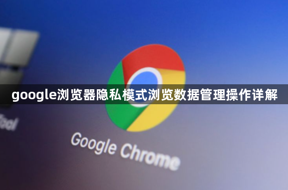 google浏览器隐私模式浏览数据管理操作详解1