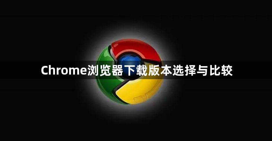 Chrome浏览器下载版本选择与比较1