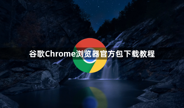 谷歌Chrome浏览器官方包下载教程1