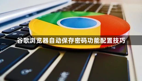 谷歌浏览器自动保存密码功能配置技巧1