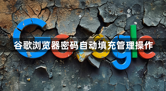 谷歌浏览器密码自动填充管理操作1