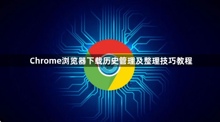 Chrome浏览器下载历史管理及整理技巧教程1