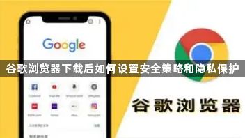 谷歌浏览器下载后如何设置安全策略和隐私保护1
