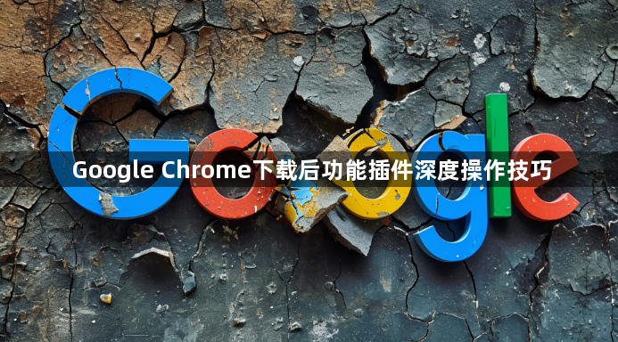 Google Chrome下载后功能插件深度操作技巧1