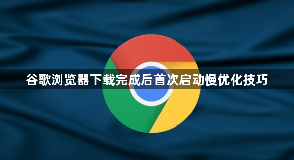 谷歌浏览器下载完成后首次启动慢优化技巧1
