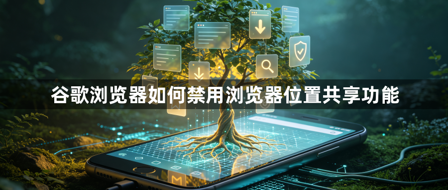 谷歌浏览器如何禁用浏览器位置共享功能1