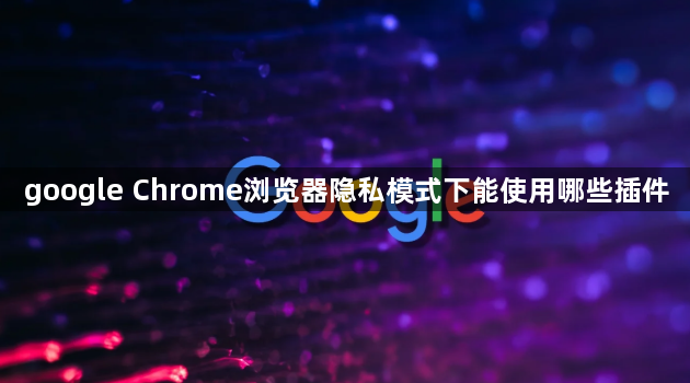 google Chrome浏览器隐私模式下能使用哪些插件1