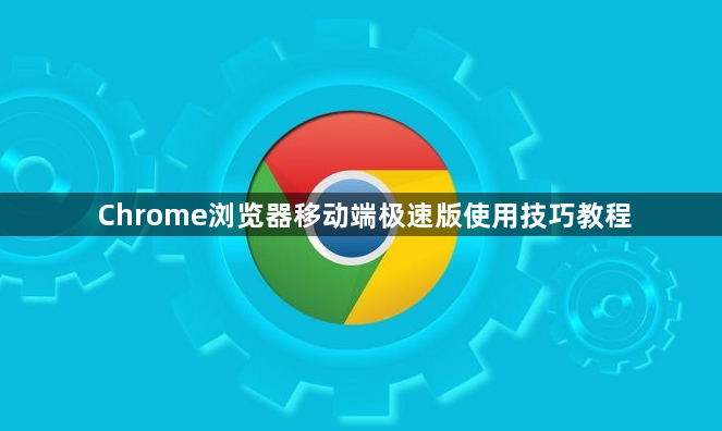 Chrome浏览器移动端极速版使用技巧教程1